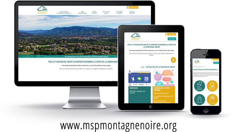 Site internet MSP